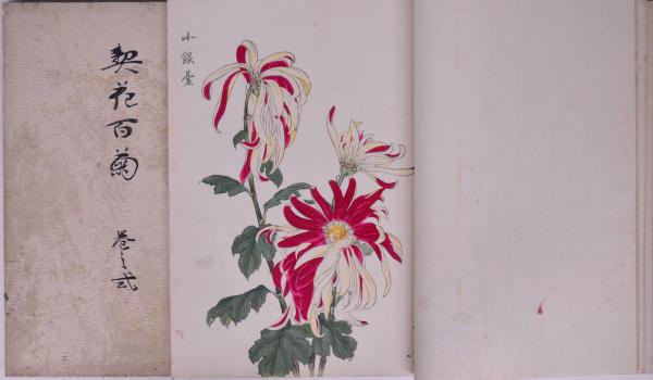 契花百菊 3冊(長谷川契華著) / 古本、中古本、古書籍の通販は