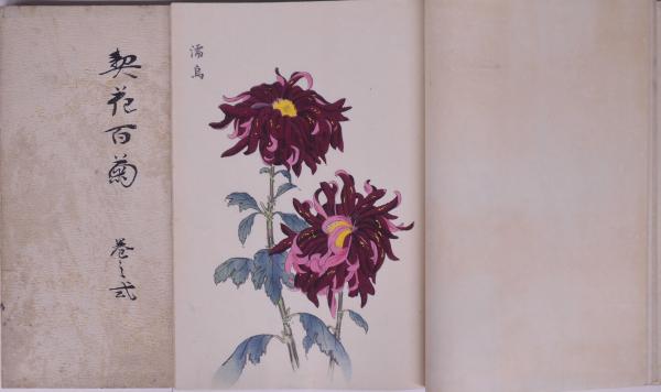 契花百菊 3冊(長谷川契華著) / 古本、中古本、古書籍の通販は