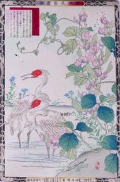 楳嶺花鳥画譜 初版分売 秋の部四  藊豆 (あぢまめ)・朱鷺