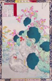 楳嶺花鳥画譜 初版分売 秋の部九  断腸花(しゅうかいどう)・烏骨鶏