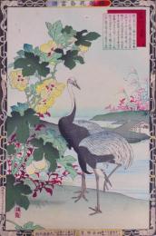 楳嶺花鳥画譜 初版分売  秋の部十三  草綿 (わた)・真鶴 (まなづる)