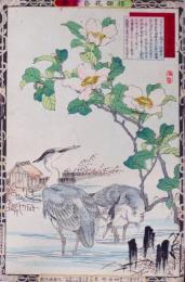楳嶺花鳥画譜 初版分売  冬の部一  山茶花 ・蒼鷺 (あおさぎ)