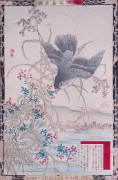 楳嶺花鳥画譜 初版分売  冬の部四  蘆 (あし)・鷂 (はいたか)