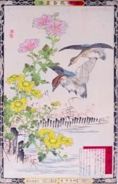 楳嶺花鳥画譜 初版分売  冬の部五  寒菊・味鳬 (あじがも)