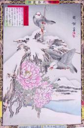 楳嶺花鳥画譜 初版分売 冬の部十  島鵯(しまひよどり)・温牡丹(ふゆぼたん)