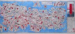新版大字 大日本絵図 明治14年