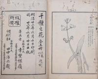 千種之花 壹  初版 明治22年