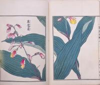 草花百種 弐編 上