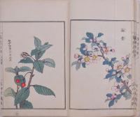 草花百種 弐編 上