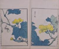 草花百種 弐編 上