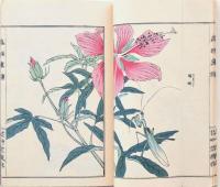 虫類画譜