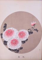 若冲画譜 4冊 帙