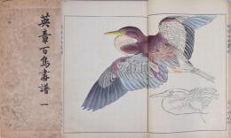 英章百鳥画譜 一