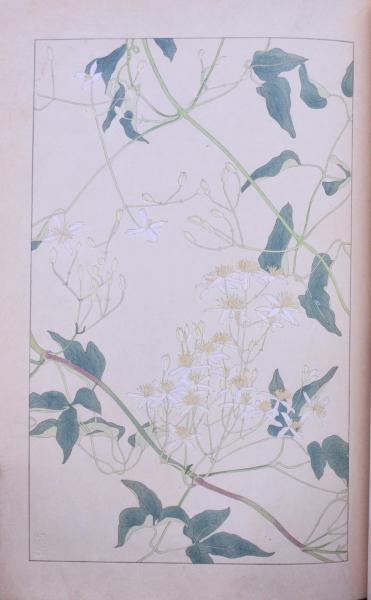 安田靫彦｢紅白椿｣ | 山田書店美術部オンラインストア