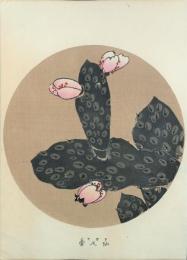 若冲画譜 分売：仙人掌 さぼてん Cactus (A)