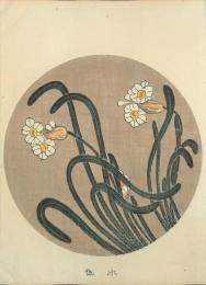 若冲画譜 分売：水仙 スイセン Narcissus