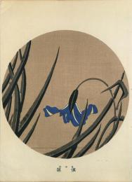 若冲画譜 分売： 渓蓀 菖蒲 あやめ Iris sanguinea