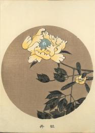 若冲画譜 分売： 牡丹4 (黄色)  Yellow Peony  