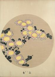 若冲画譜 分売：冬菊 かんきく 寒菊 Winter chrysanthemum