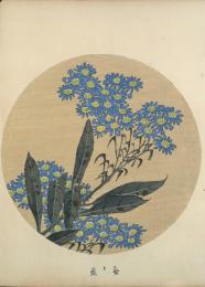 若冲画譜 分売：紫苑 志をん しおん Tatarian aster 