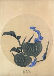 若冲画譜 分売： 雨久花 みづあおい  Monochoria korsakowii  