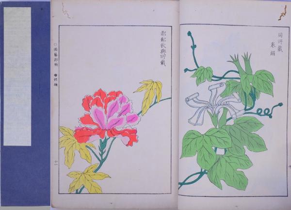 四季花卉文様 楓乃巻(洛詩会 編) / 赤尾照文堂 / 古本、中古本