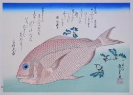 広重 魚づくし 分売1：鯛に山椒