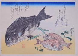 広重 魚づくし 分売2 ：黒鯛・小鯛に山椒