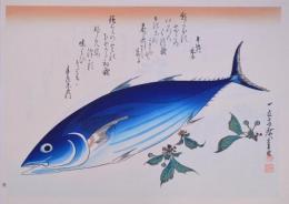 広重 魚づくし 分売3 ：鰹に桜