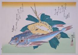 広重 魚づくし 分売7 ：かれい・かながしらに笹
