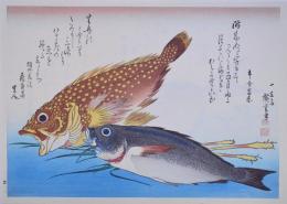 広重 魚づくし 分売8 ：かさご・いさきに薑 (しょうが)
