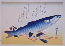 広重 魚づくし 分売9 ：ぼらにうど