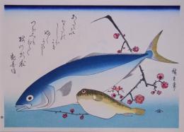 広重 魚づくし 分売10 ：いなだ・ふぐに梅