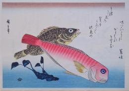 広重 魚づくし 分売11 ：あま鯛・藻魚にわさび