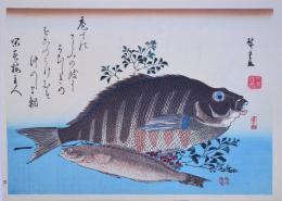 広重 魚づくし 分売12 ：しま鯛・あいなめに南天