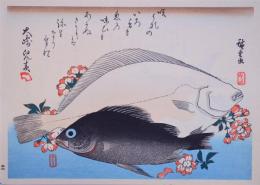 広重 魚づくし 分売13 ：ひらめ・めばるに桜