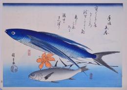 広重 魚づくし 分売15 ：とび魚・石もちに百合