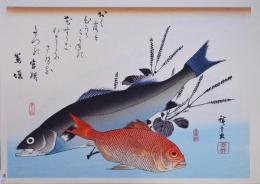 広重 魚づくし 分売16：すずき・金目鯛にしそ