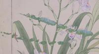 杉浦非水 非水百花譜 分売 4： 蝴蝶花 しやが