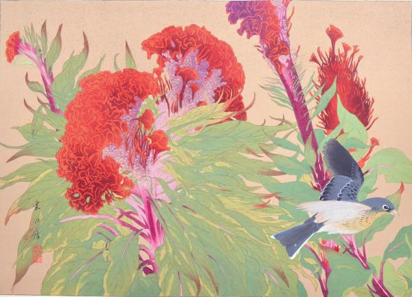 ☆樂山花鳥画譜 分売:22 『鷄頭花にのぢこ』(中秋)(土屋樂山 ☆樂山花鳥画譜 分売:22 『鷄頭花にのぢこ』(中秋)(土屋樂山