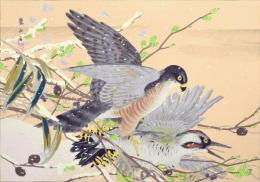 樂山花鳥画譜 分売：16 『やしやぶしに小鷹』（冬）