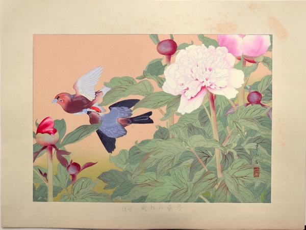 樂山花鳥画譜 分売：21 『芍薬に紅戴』（初夏）(土屋樂山（楽山