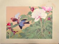 ☆樂山花鳥画譜 分売：21 『芍薬に紅戴』（初夏）(土屋樂山