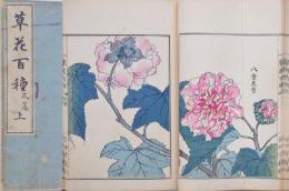 草花百種 弐編 上
