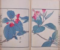 草花百種 弐編 上