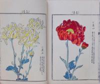 千種之花 四