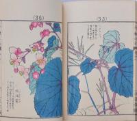千種之花 四
