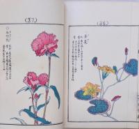 千種之花 壹