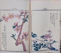 千種之花 壹