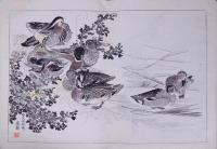 日本名画鑑  徳川時代之部 丸山応挙 下巻